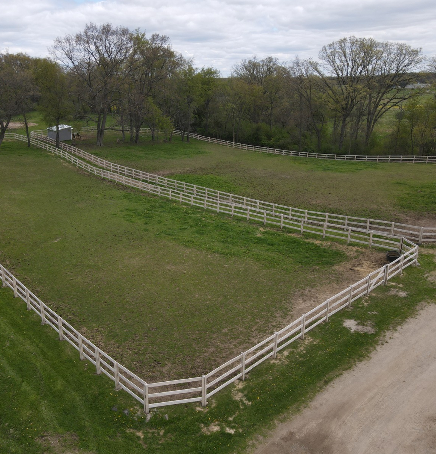 Horseback Riding Lessons in Chelsea, Michigan 