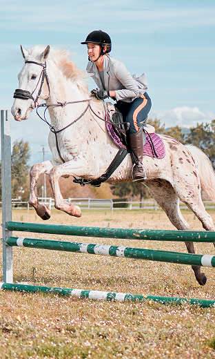 Clapperton family equestrian history Woodbine Farms