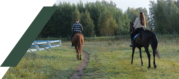 Schedule a farm tour at Woodbine Farms Chelsea Michigan